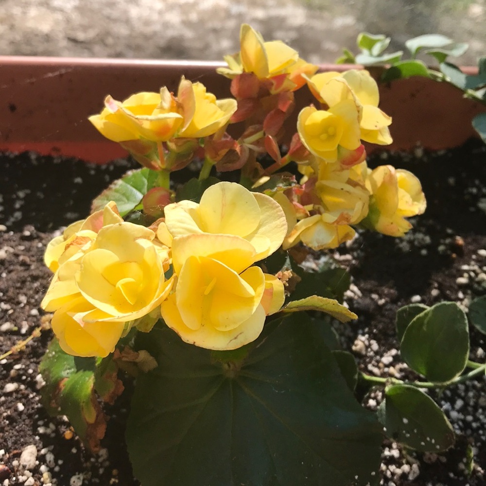 Meet your Posher, Sandra